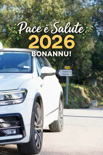 Bonne et heureuse année à tous nos clients, Ajaccio, Taxi Willy