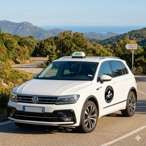 taxi-ajaccio-aeroport-porticcio-sarrola-cauro